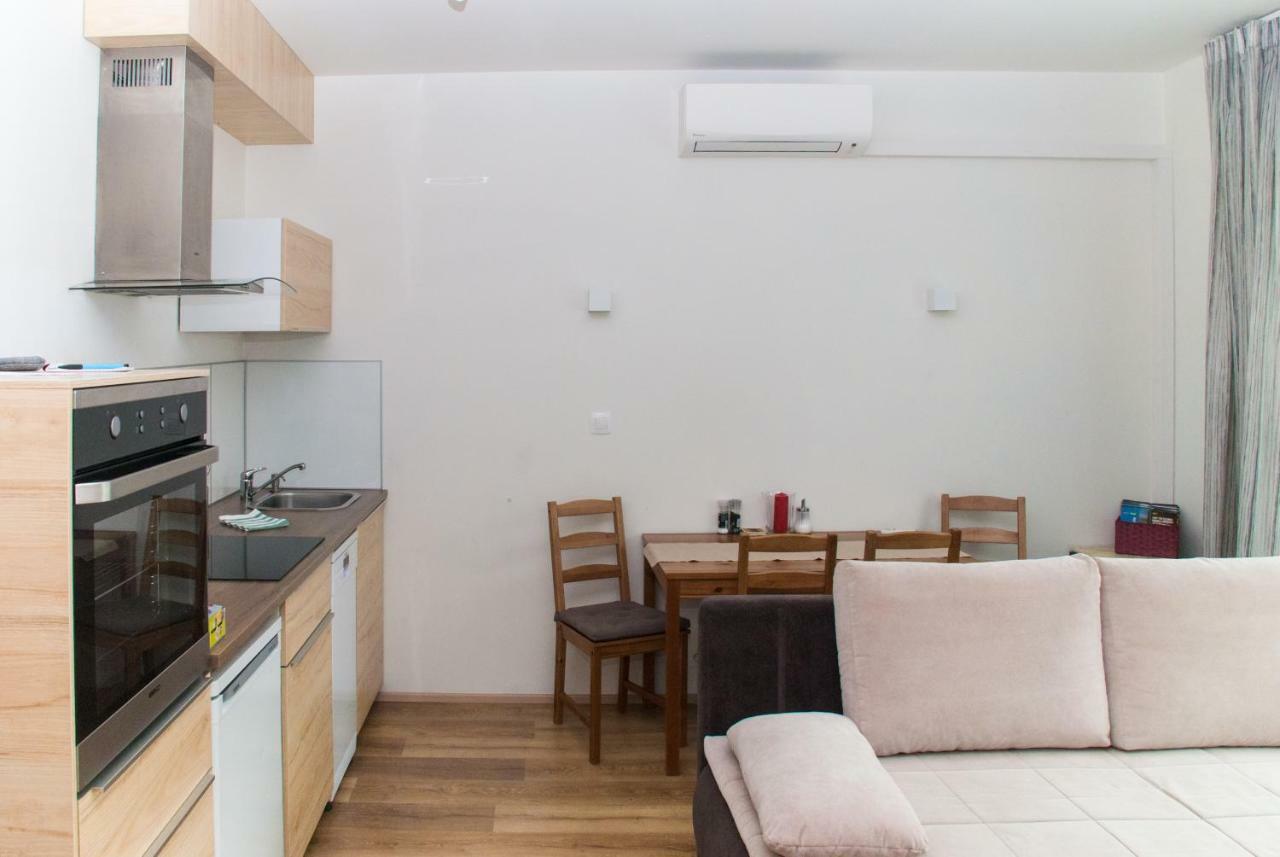 Sunny, Fully Furnished Studio Type With Terrace Plzeň Buitenkant foto
